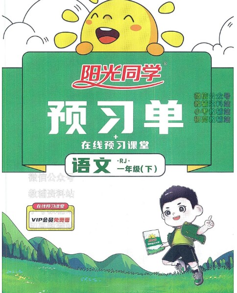 2024阳光同学课时优化作业-小学全国各版