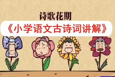 乐乐课堂小学语文古诗词讲解视频《乐乐课堂天天练语文》共386集