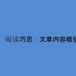 小学阅读巧思微课 视频