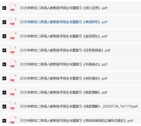 2025初中英语专题复习学困生+中等生+尖子生PDF下载第4张