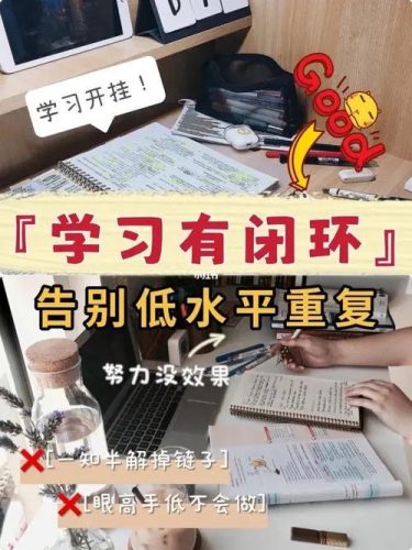 学习力闭环训练营-第1期视频下载