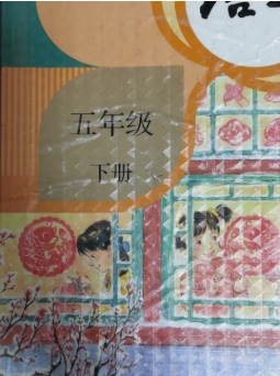 2020小学语文五年级下册网课辅导视频课程全集(64讲含课件)部编版第1张
