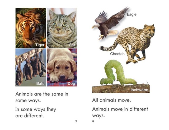 Science A-Z (RAZ科学版,很棒的科普类分级读物)全套资料[音频+视频+PDF+部分教案+练习册]第2张