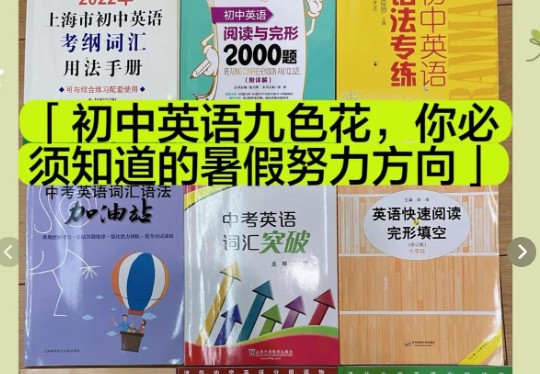 初中英语九色花系列|Nancy 中考英语词汇语法加油站小紫PDF+视频