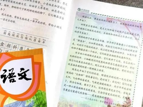 233网校2019人教版小学语文三年级上下册视频课程全109讲