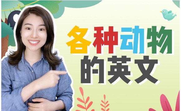 雪梨老师25套小学英语王炸学习资料