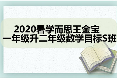 2020暑学而思王金宝 小学数学 一年级升二年级数学目标S班