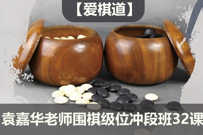 【爱棋道】袁嘉华老师围棋级位冲段班32课时