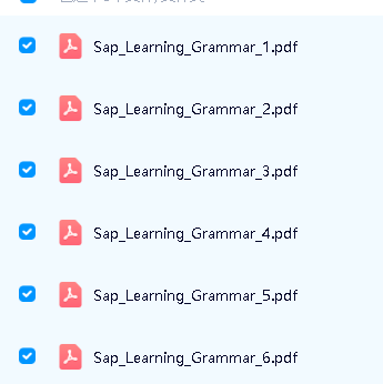 新加坡语法练习册《Learning English Grammar》1-6册全套PDF下载第2张