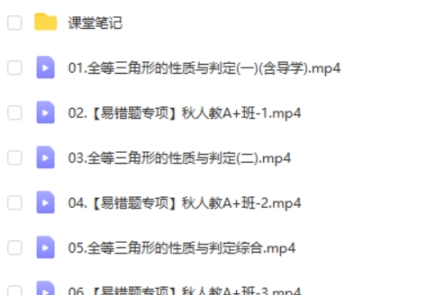 2024徐丝雨初二数学A+暑假班网课视频