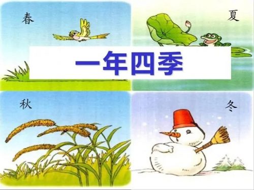 【思泉语文】1-6年级春夏秋冬四季教案