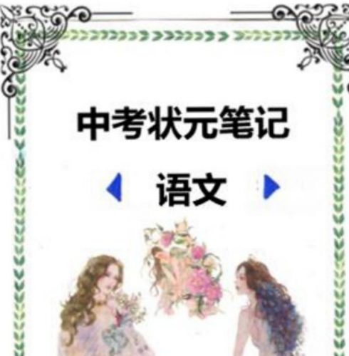 2022中考状元笔记(语文)