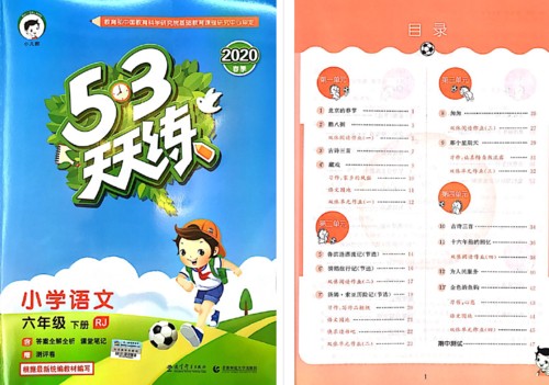 【53天天练】语文六年级下册人教版（试题卷+答案+课堂笔记+测评卷）