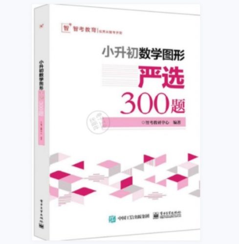 小升初数学图形:严选300题PDF电子版文档下载