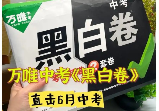 2025年万唯中考黑白卷7科全套 (多版本)+答案 PDF下载