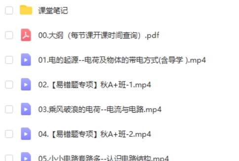 初三中考物理 付雷老师2024秋上.A+班网课视频