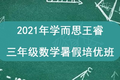 2021年学而思王睿 三年级数学暑假培优班