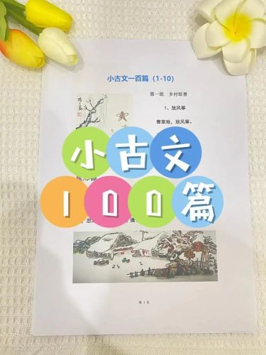 海狸老师-小古文精选精读100篇视频课程