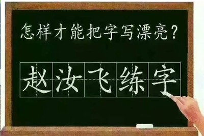 赵汝飞练字-笔画视频课程共32集