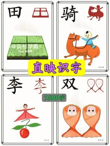 《直映认字》幼儿识字软件1-6册全套