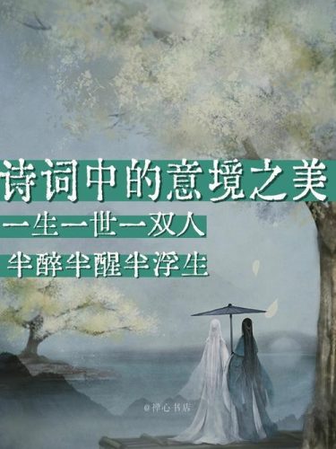 品味诗意人生，最美古诗词（视频）