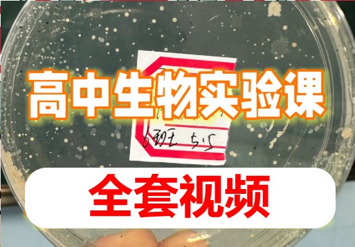 高中生物实验（全套视频课）
