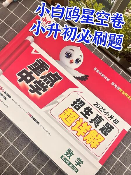 2026版《小白鸥小升初星空卷》