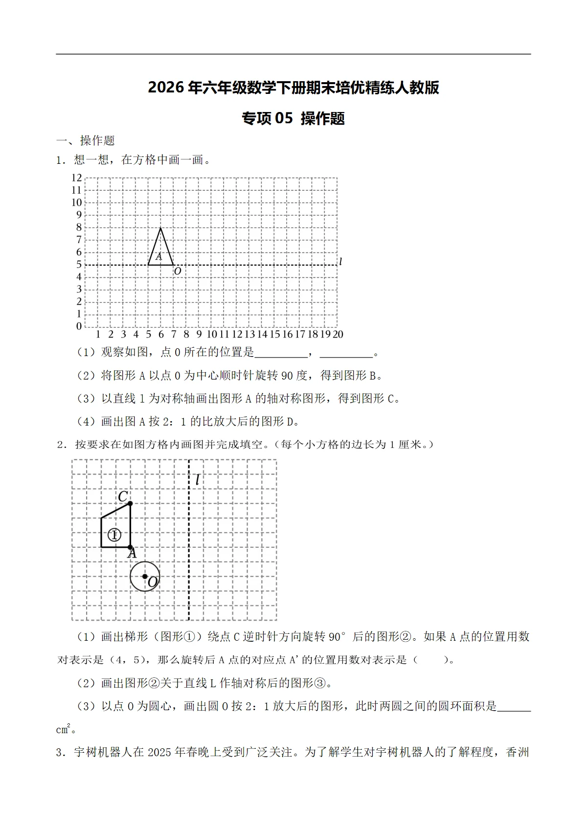 （期末考点）2026年六年级数学下册期末培优精练人教版专项05 操作题（含答案解析）