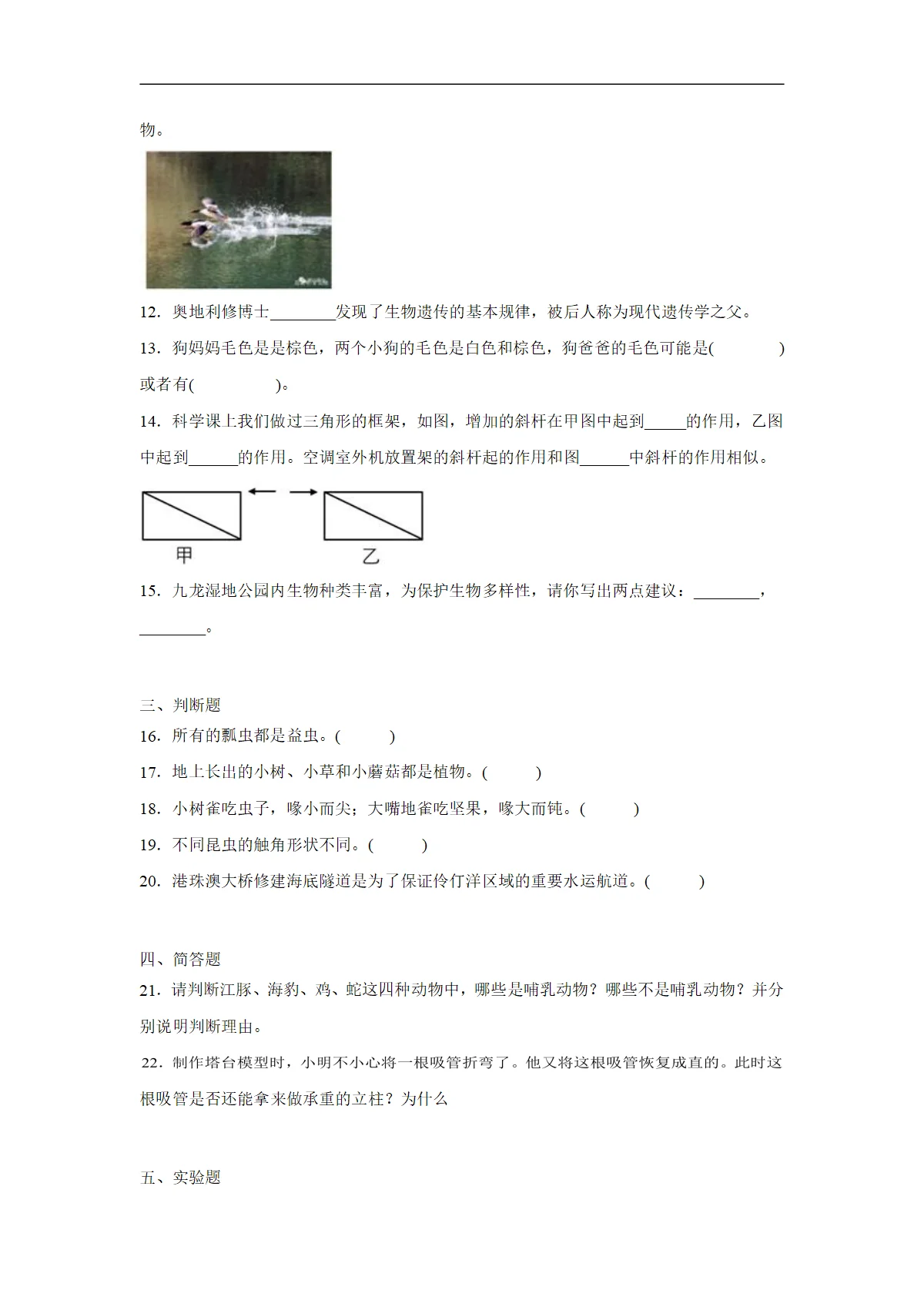 教科版六年级下册科学期中测试卷一 (含答案解析)