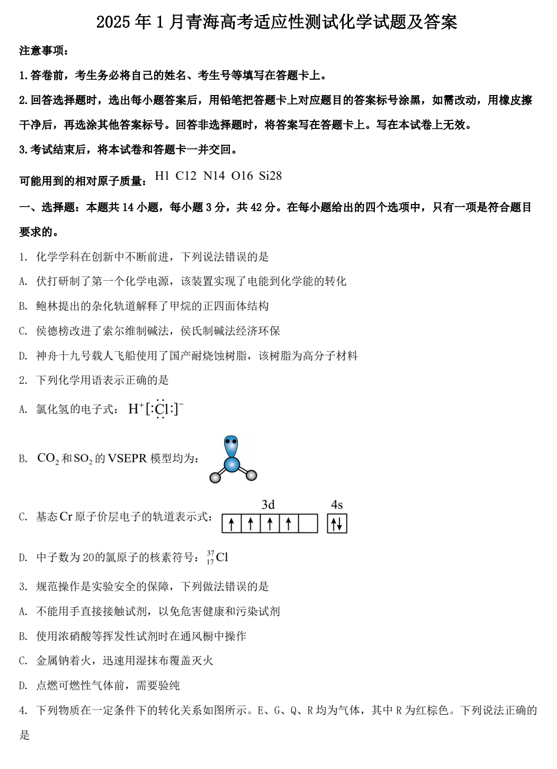 2025年1月青海高考适应性测试化学试题及答案