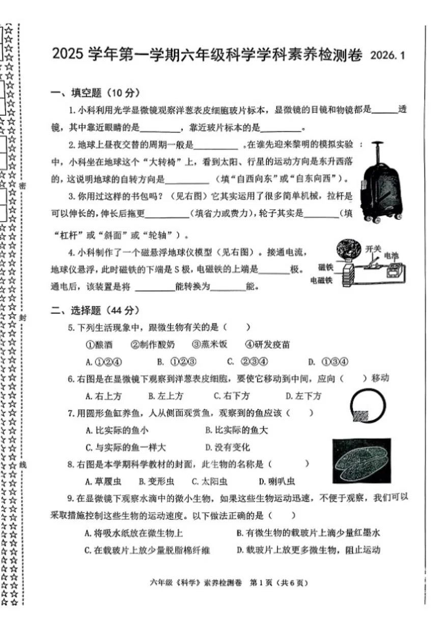 2025-2026学年浙江省嘉兴市桐乡市六年级上学期1月期末科学试题（含答案）