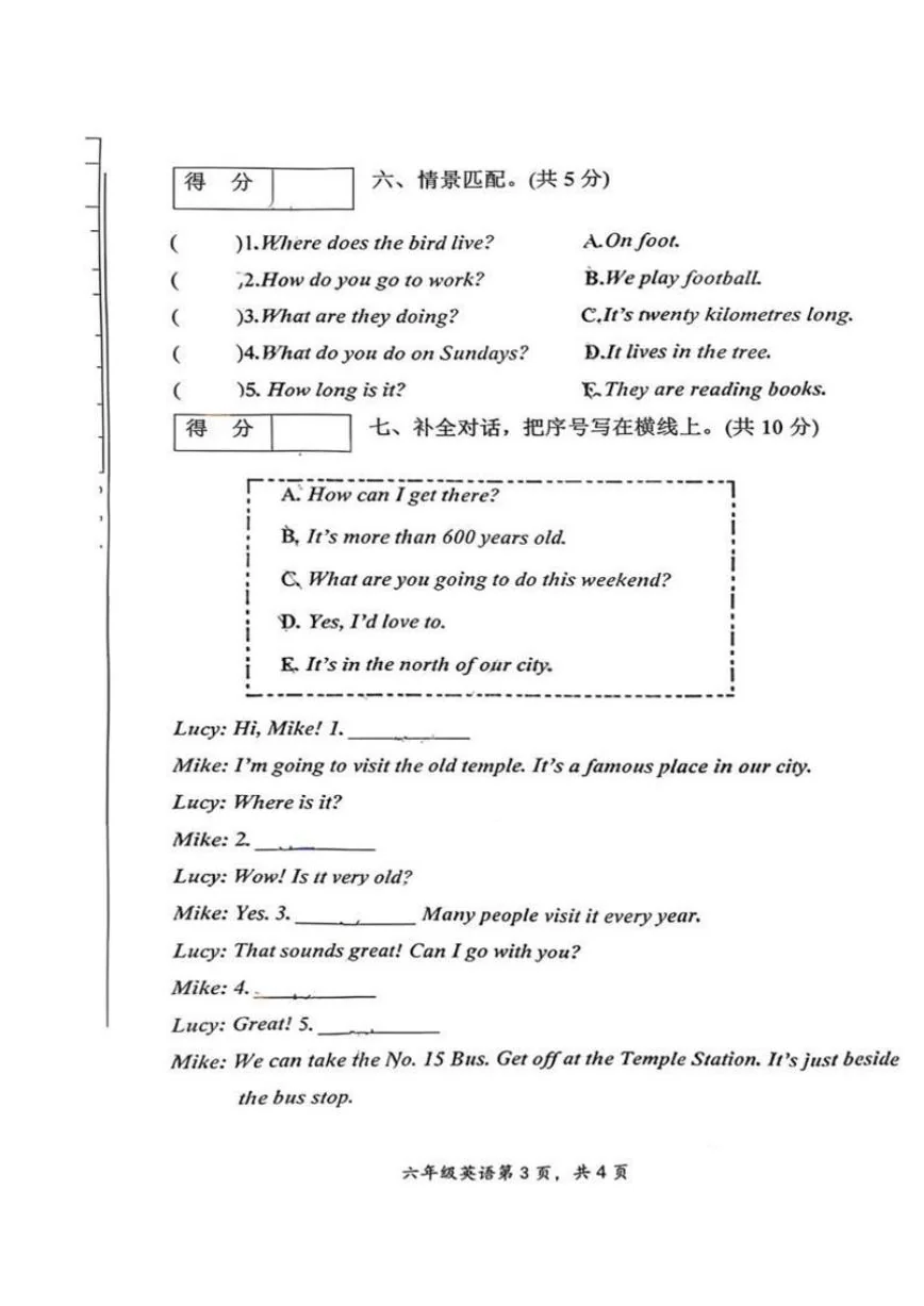 辽宁省朝阳市双塔区2025-2026学年六年级上学期期末英语试题（含答案）