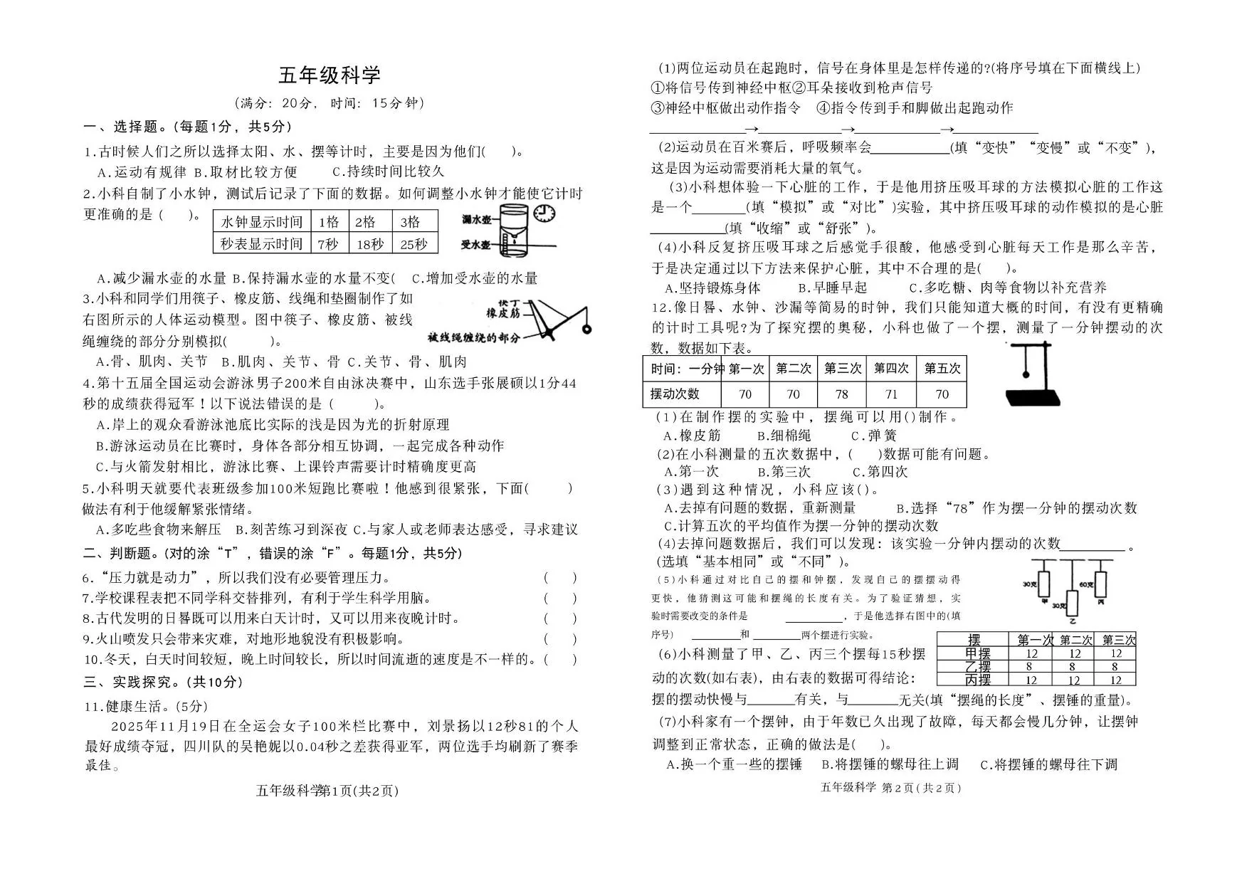 山东省菏泽市定陶区2025-2026学年五年级上学期期末科学试题